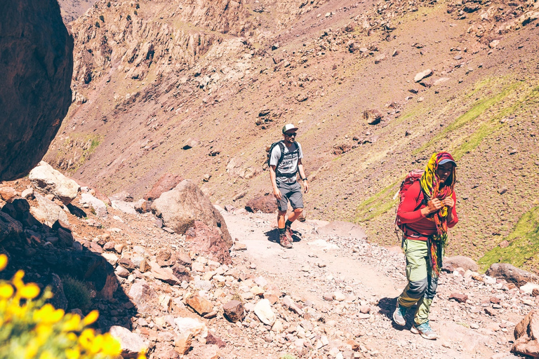 Frome Marrakech : Randonnée d'une journée au sommet du Tedli dans les montagnes de l'Atlas