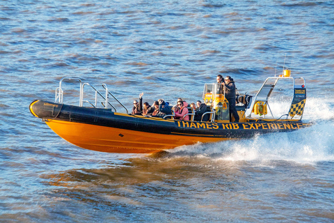 London: 20-Minute Tower RIB Blast from Tower Pier
