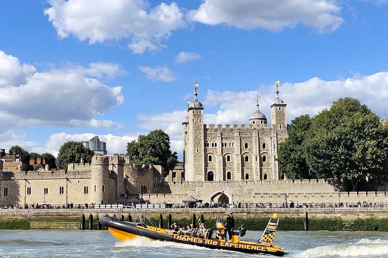 London: 20-Minute Tower RIB Blast from Tower Pier