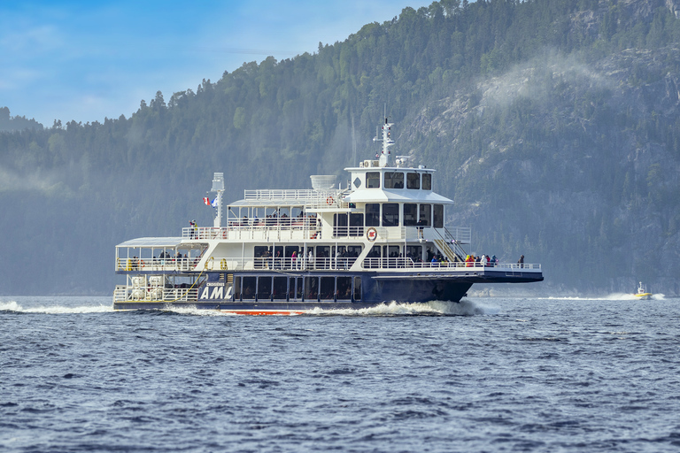 Tadoussac or Baie-Sainte-Catherine: Whale Watching Boat Tour Standard Cruise from Tadoussac