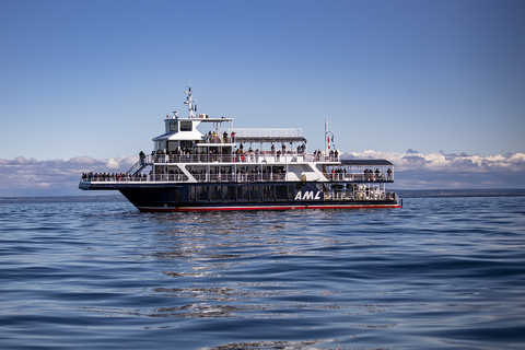 Tadoussac or Baie-Sainte-Catherine: Whale Watching Boat TourStandard Cruise from Tadoussac