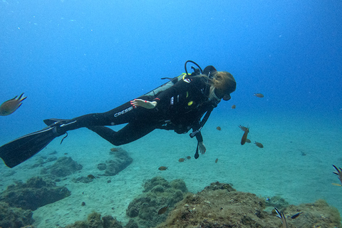 Lanzarote: Prueba de Buceo para principiantes con un Guía Privado