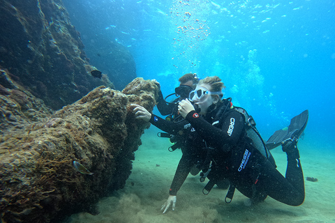 Lanzarote: Prueba de Buceo para principiantes con un Guía Privado