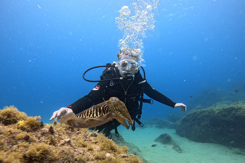 Lanzarote: Prueba de Buceo para principiantes con un Guía Privado