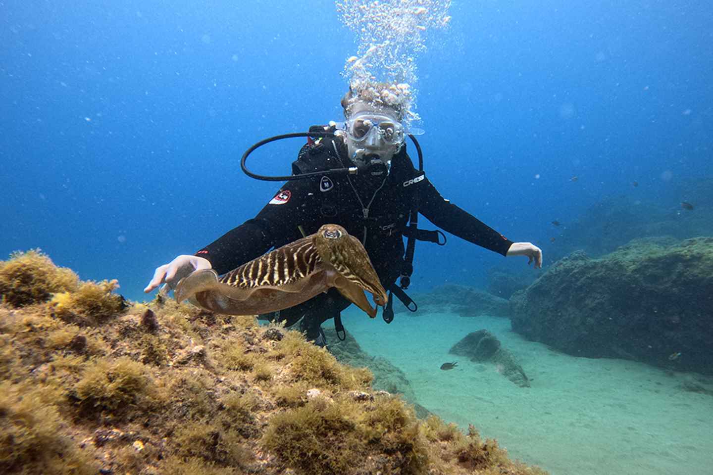 Лансароте: Первое Погружение для Новичков