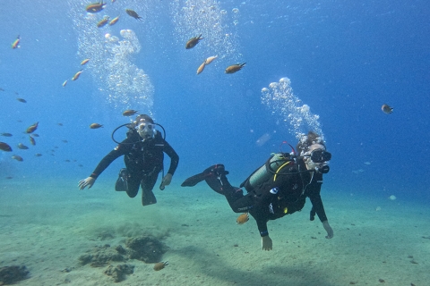 Lanzarote: probeer duiken voor beginners met een privégidsLanzarote: Probeer duiken voor beginners met een privégids