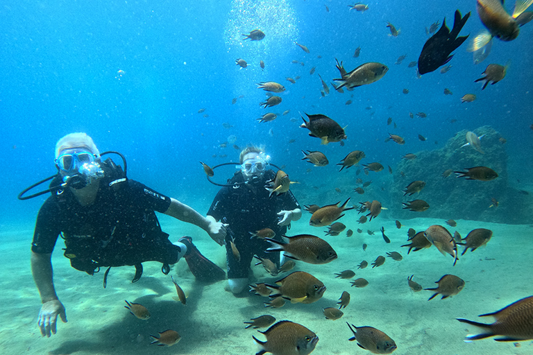 Lanzarote: esperienza di introduzione alle immersioni per principiantiLanzarote: introduzione all&#039;esperienza subacquea per principianti