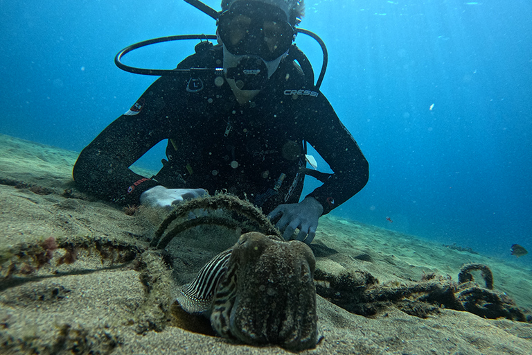 Lanzarote: Prueba de Buceo para principiantes con un Guía Privado