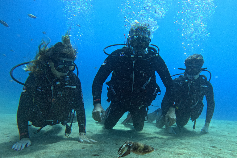 Lanzarote: esperienza di introduzione alle immersioni per principiantiLanzarote: introduzione all&#039;esperienza subacquea per principianti