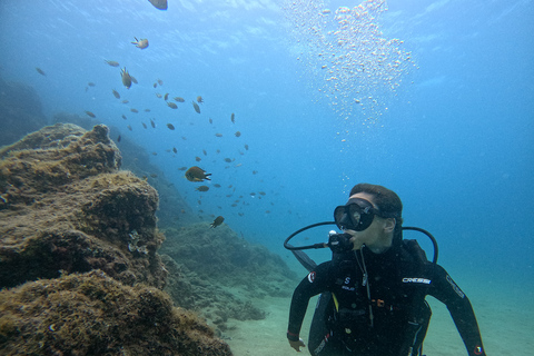 Lanzarote: Prueba de Buceo para principiantes con un Guía Privado