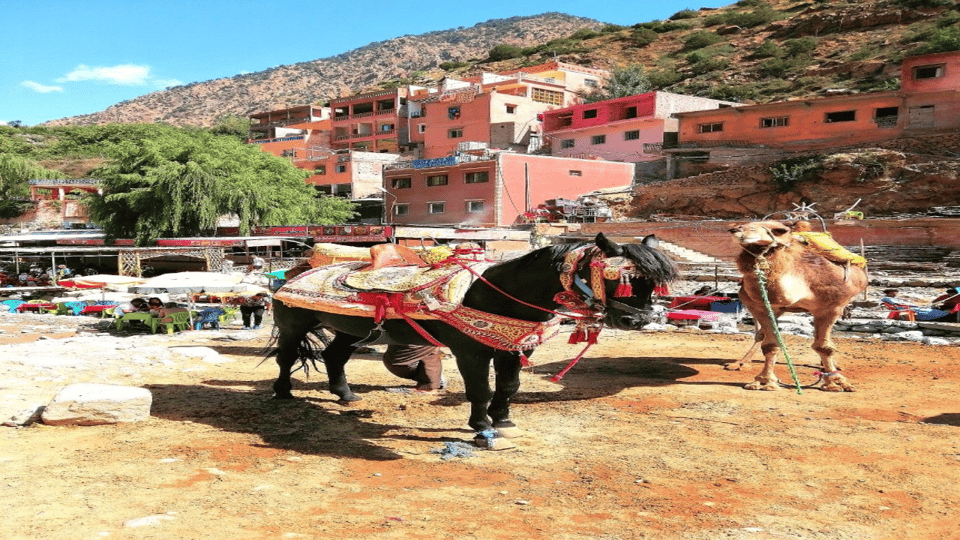 Excursión De Un Día Al Valle Del Ourika Y La Cordillera Del Atlas Desde ...