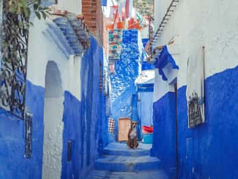 Chefchaouen day trip from Fez (shared group tour)