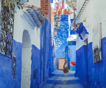 1-dniowa wycieczka do Chefchaouen z Fezu (wycieczka grupowa)