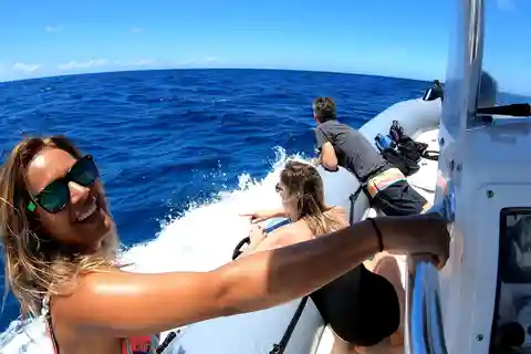 Oahu: Private Whale Watching Adventure