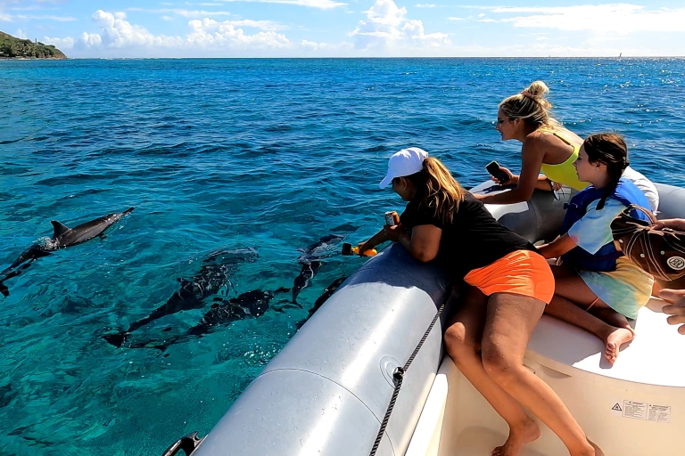 Oahu: Aventura privada de avistamiento de ballenas