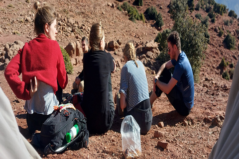 Vane Marrakech: Atlasgebergte Tedli top dagwandeling