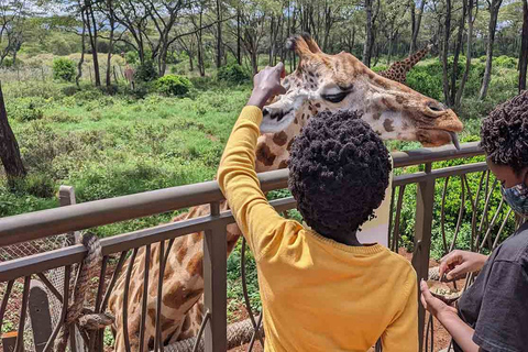 Nairobi: Sheldrick Elephant Orphanage and Giraffe Center