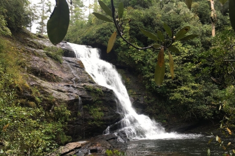 Desde Puerto Iguazú: aventura por cataratas secretasTour de medio día