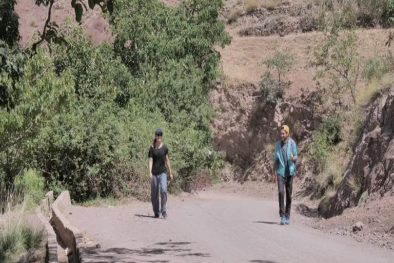 Frome Marrakech : Randonnée d'une journée au sommet du Tedli dans les montagnes de l'Atlas