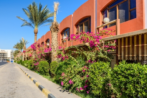 Von Makadi Bay aus: Hurghada Stadttour & das Nationalmuseum