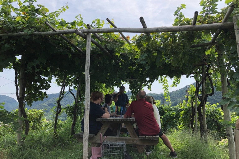From Venice: A Sparkling Day in the Prosecco Hills Tour