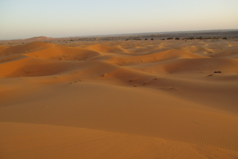 Von Marrakech aus: Merzouga 3-tägige Wüstensafari mit Essen