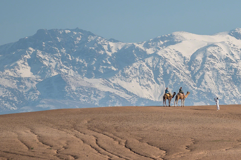 Marrakech: Deserto de Agafay, passeio de camelo e jantar berbere