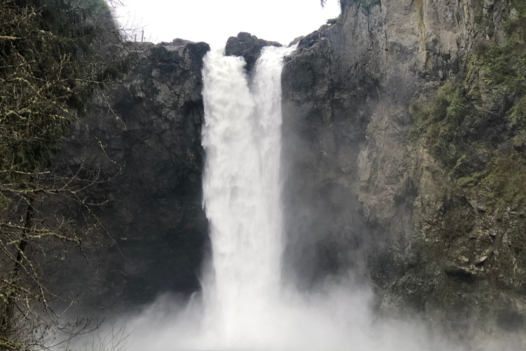 Seattle: Snoqualmie Falls and Twin Falls Guided Tour