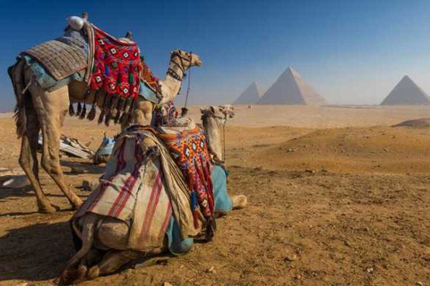 Ancient Wonders: Pyramids of Giza VIP Tour