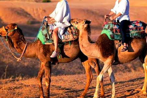 Marrakech: Abendessen und Quadbike Wüste Agafay Stars &amp; Showalles inklusive