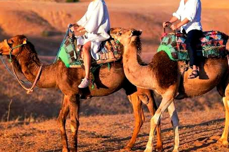 Marrakech: Abendessen und Quadbike Wüste Agafay Stars &amp; Showalles inklusive