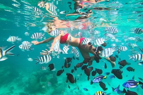 Gita di mezza giornata a Zanzibar nell'isola di Mnemba