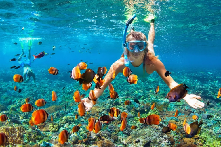 Aventura de snorkel en la Isla de Coral de Phuket (lancha rápida privada)