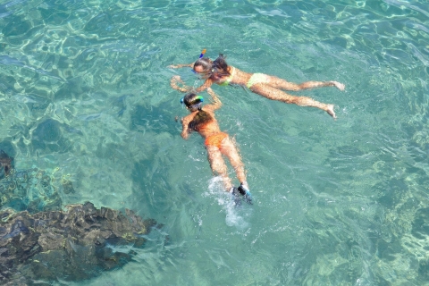 Miami: dagtocht naar Key West met dolfijnen kijken en snorkelen