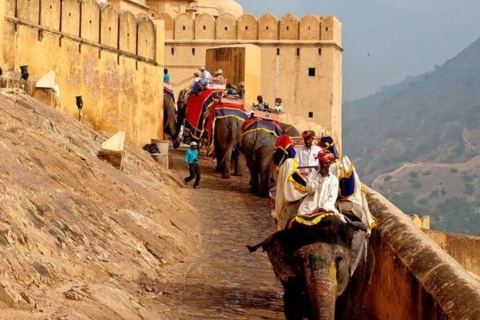 8 Nights Golden Triangle Tour
