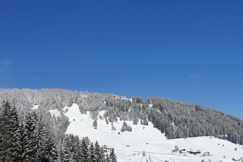 Innsbruck: kersttour met gediplomeerde gids