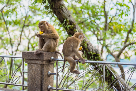 Depuis Phi Phi : Excursion d'une journée à Phuket avec transferts et voiture privée