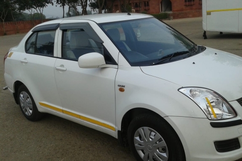 Jaipur: Rollstuhlgerechte private GanztagestourPrivat Limousine Auto