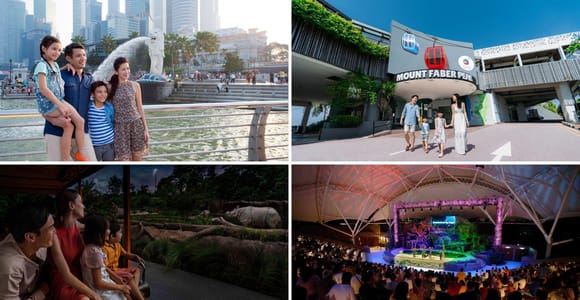 Half Day City Sightseeing with Night Safari Guided Tour