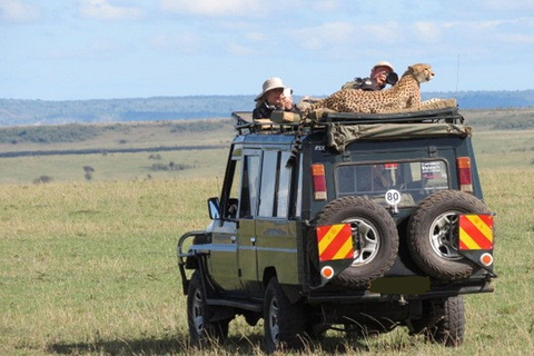 Nairobi: 4-daagse safari met gids door Amboseli, Tsavo West en East