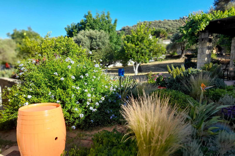 Chania Shore Excursion Off-Road Vineyard and Winery Tour HD