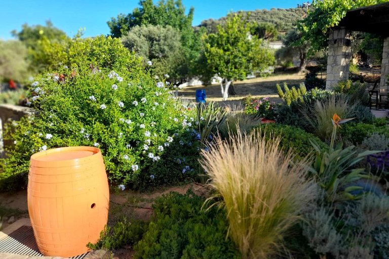 Chania Shore Excursion Off-Road Vineyard and Winery Tour HD