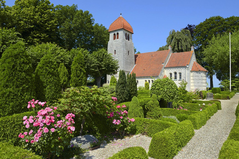 Fast-Track UNESCO Stevns Klint - Kopenhagen Tagesausflug mit dem Auto5 Stunden: Stevns Klint von Kopenhagen aus mit dem Auto