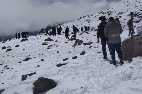 4 天肯尼亚山登山探险肯尼亚山 4 天登山探险