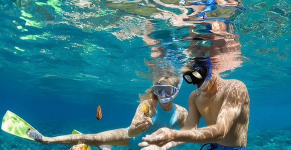 From Koh Samui: Snorkel Koh Tao, Mango Bay & Koh Nang Yuan