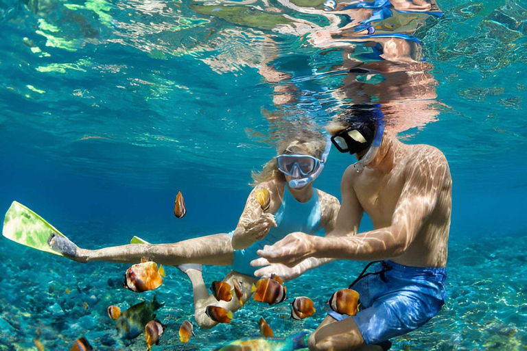 Koh Larn Adventure: Water Activities & Round-Trip Speedboat Bali Hai Pier: Koh Larn Speedboat round Trip with Activities