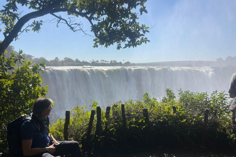 cataratas victoria; tour privado de las cataratas