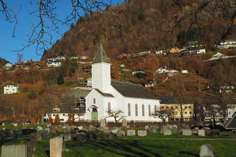 Guidad tur till Hardangerfjorden, vattenfall, färjeöverfart