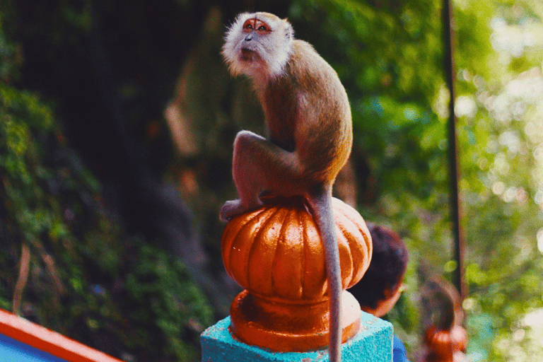 Kuala Lumpur: Batu Caves, Temples and Banana Leaf Rice Tour Shared Tour