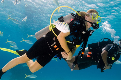 Alanya: Turtle Island Scuba Diving (2 Dives) Private group option